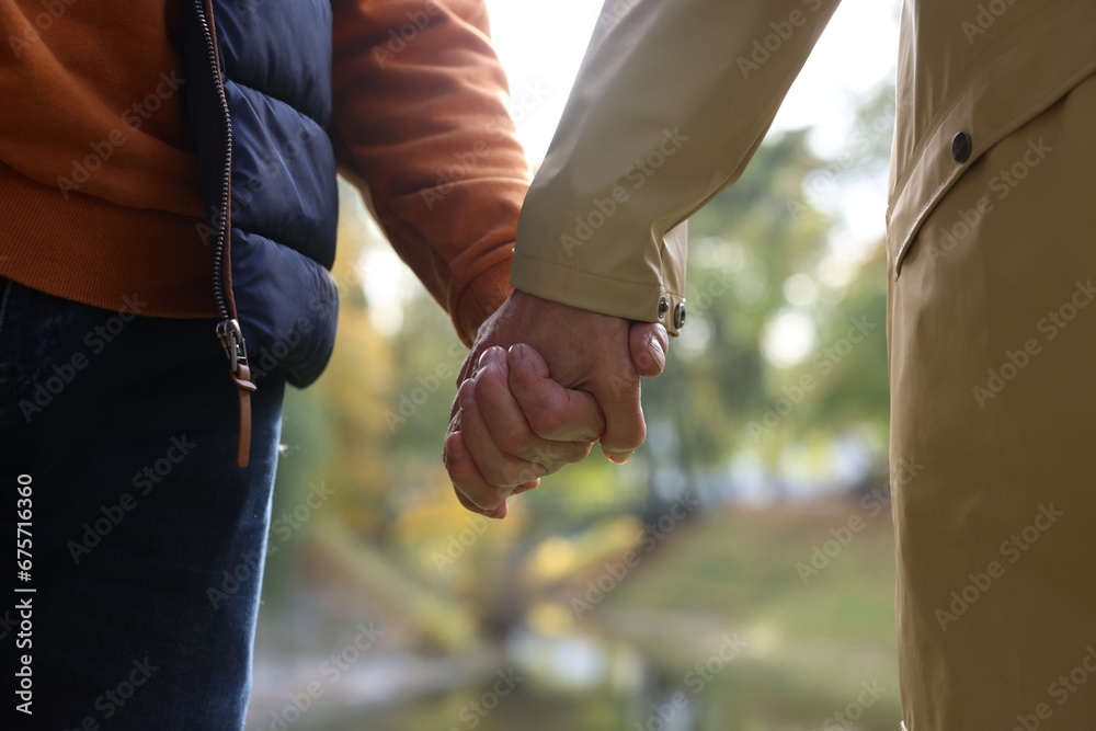 Senior couple holding hands in autumn park, closeup