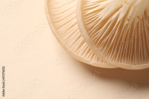 Fresh oyster mushrooms on beige background, macro view. Space for text