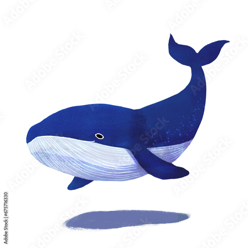 blue whale cartoon CUTE cartoon hand drawn 