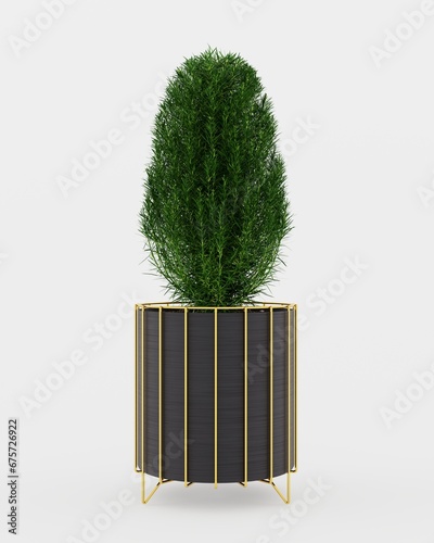 Floor standing indoor plant isolated on a white background. 3d render