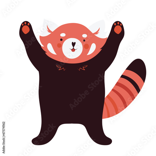 Cute chubby red panda with raised paws, isolated vector illustration