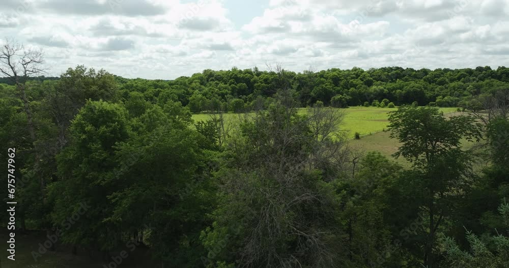 Green Trees And Vast Fields In Oronoco, Minnesota, USA - drone shot Green Trees And Vast Fields In Oronoco, Minnesota, USA - drone shot