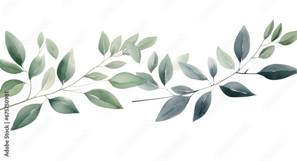 Watercolor floral illustration set of green leaf branches isolated on transparent background. Eucalyptus, olive, green leaves, - obrazy, fototapety, plakaty 