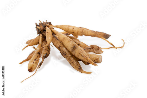 Shatavari or Asparagus racemosus roots isolated on white background, herbal or ayurvedic medicine photo