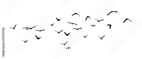 Flying birds silhouette flock. hand drawing. Not AI, Illustrat3 . Vector illustration