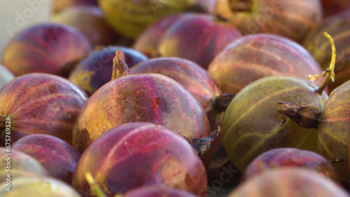 Ripe red gooseberries