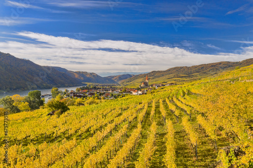 Autumn panorama of Wachau valley  Unesco world heritage site  with colorful vineyard and Danube river near the Weissenkirchen village in Lower Austria  Austria