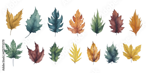 Set of Watercolor Plant Leaves Illustration. Beautiful Painted Leaves Collection Element Isolated on The Transparent Background.