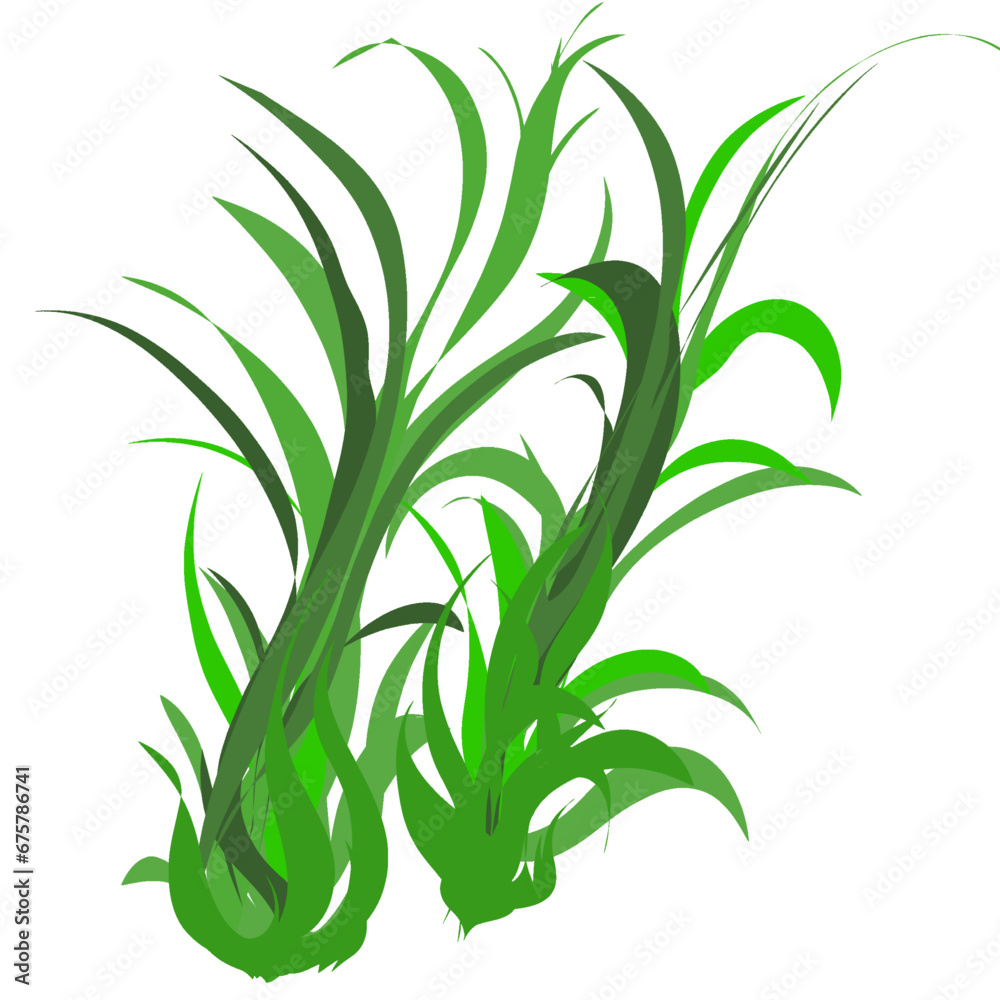Obraz premium Shape or icon of a group of grass plants, without background