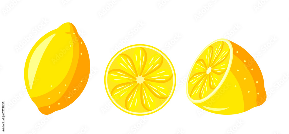 Lemons set isolated on white background vector graphics
