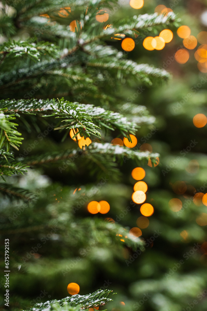 Christmas and New Year background of green tree and golden bokeh and lighting, soft blurred focus