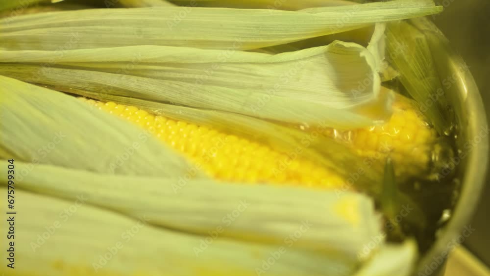 Cook cooks corn covered with green leaves, close-up. Healthy food from vegetables and cereals. Vegetarian diet concept Cook cooks corn covered with green leaves, close-up. Healthy food from vegetables and cereals. Vegetarian diet concept