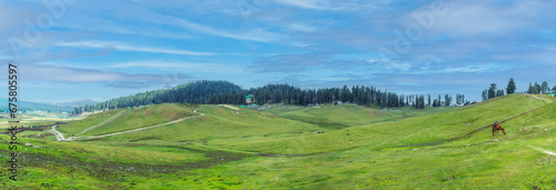 landscape in Gulmarg,Jammu and Kashmir India.