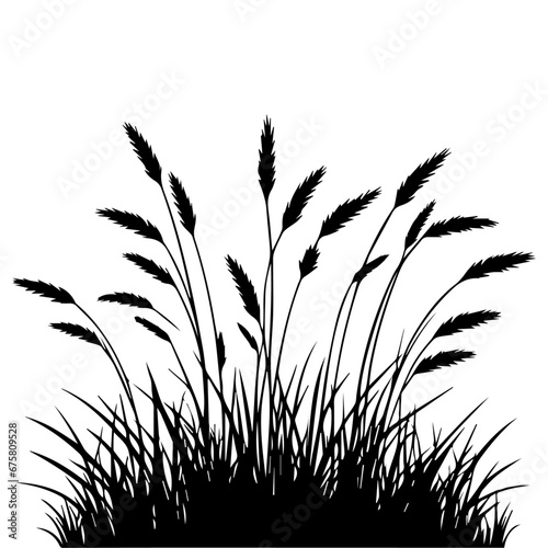 Grass vector silhouette illustration black color