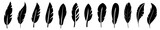 Set of black feather in a flat style. isolated feathers silhouette