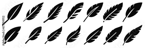 Feather Vector illustration.   Feathers of birds. Black quill feather silhouette.  photo