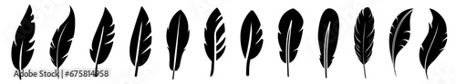 Set of black feather in a flat style. isolated feathers silhouette
