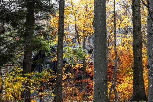 Cuadro en lienzo A wooden cabin in the background of a dense forest in autumn