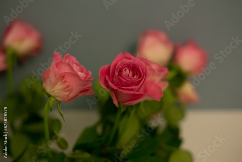 Flower bouquet of pink roses close-up. Mother s Day concept. 
