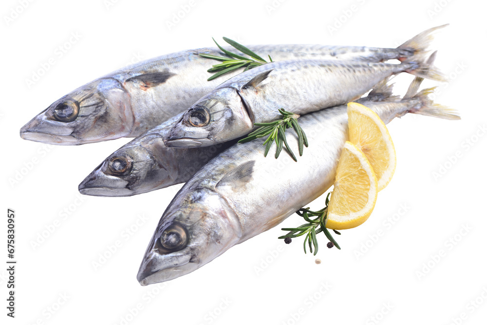 Fish mackerel on a white background isolated Fish mackerel on a white background isolated