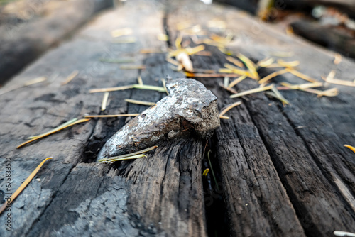 An old nail in a railway wooden sleeper photo