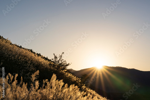 Wallpaper Mural 神奈川県箱根町　秋の仙石原すすき草原 Torontodigital.ca