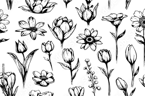 Set of tiny wild flowers and plants, vector botanical illustrations. Fashionable collection of flowers drawn in black ink. Modern design for logo, tattoo, wall art, branding and packaging.