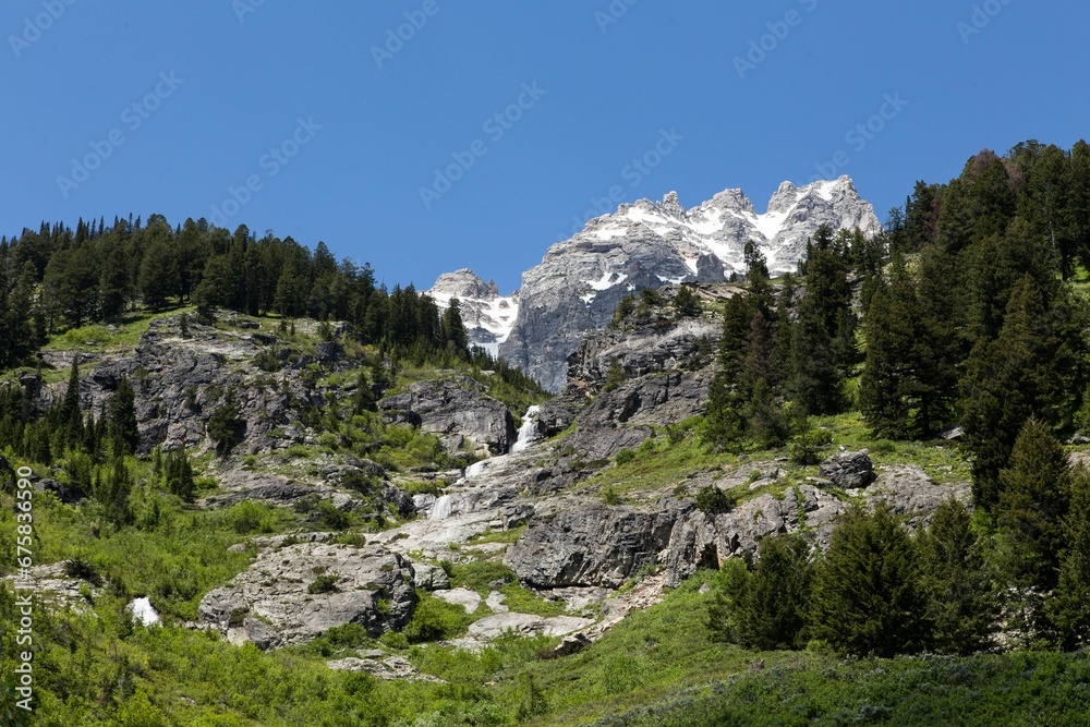 trees, mountains, and grassy field in the background of a blue sky