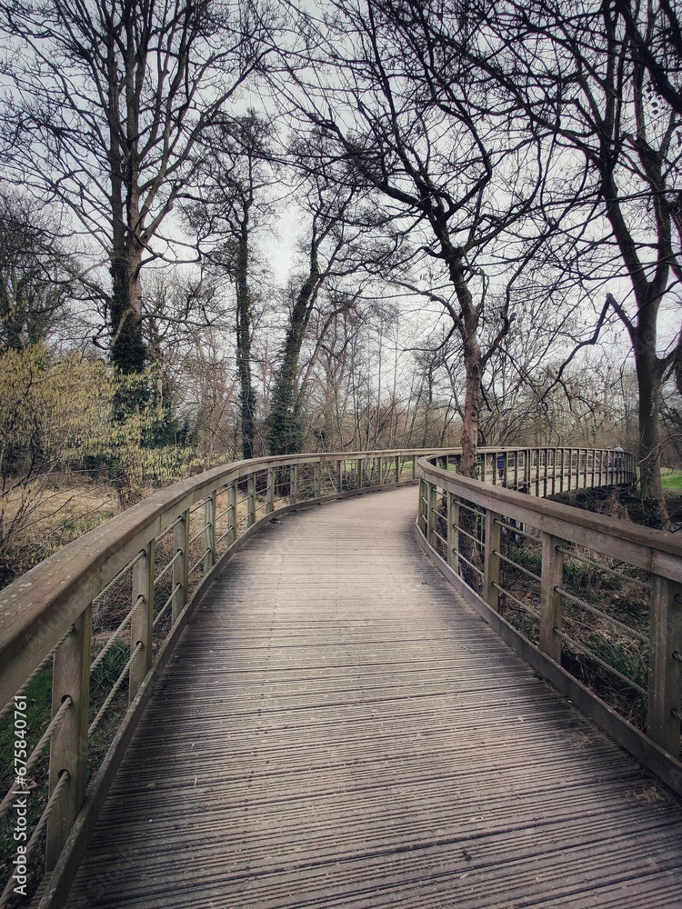 Serene view of a long wooden walkway stretching through a grassy meadow and past a tranquil lake Serene view of a long wooden walkway stretching through a grassy meadow and past a tranquil lake