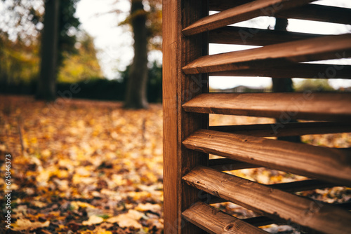 autumn wood bower photo