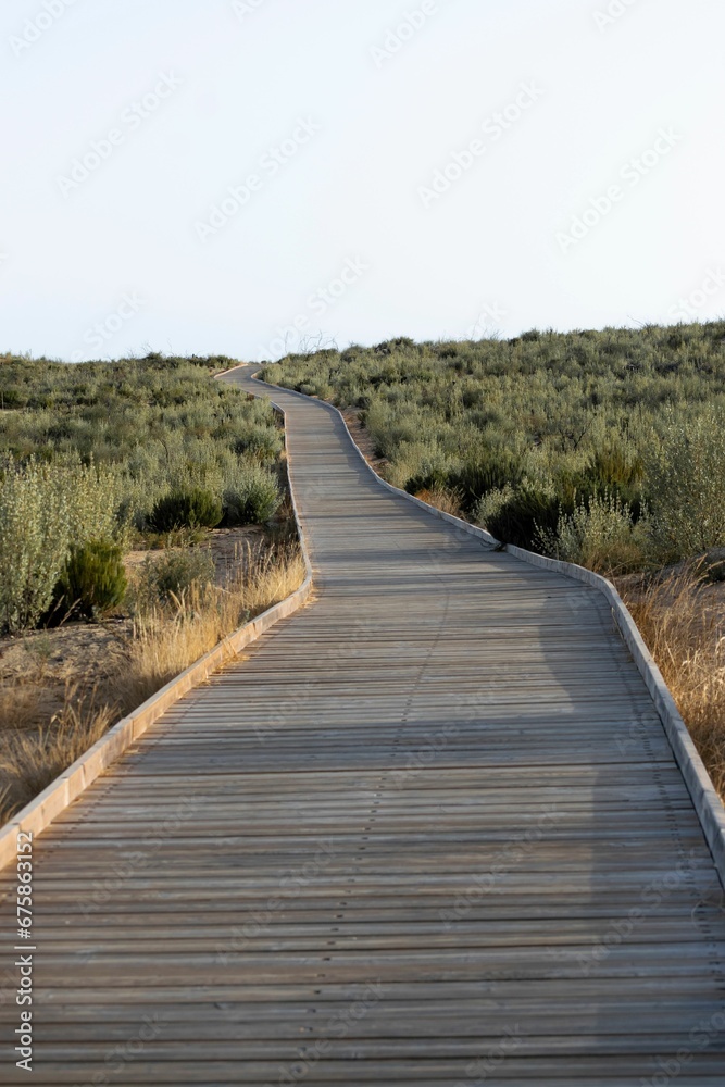 Vertical of a wooden pathway in a green field