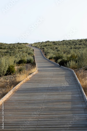 Vertical of a wooden pathway in a green field