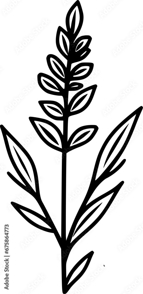 Lavender | Minimalist and Simple Silhouette - Vector illustration