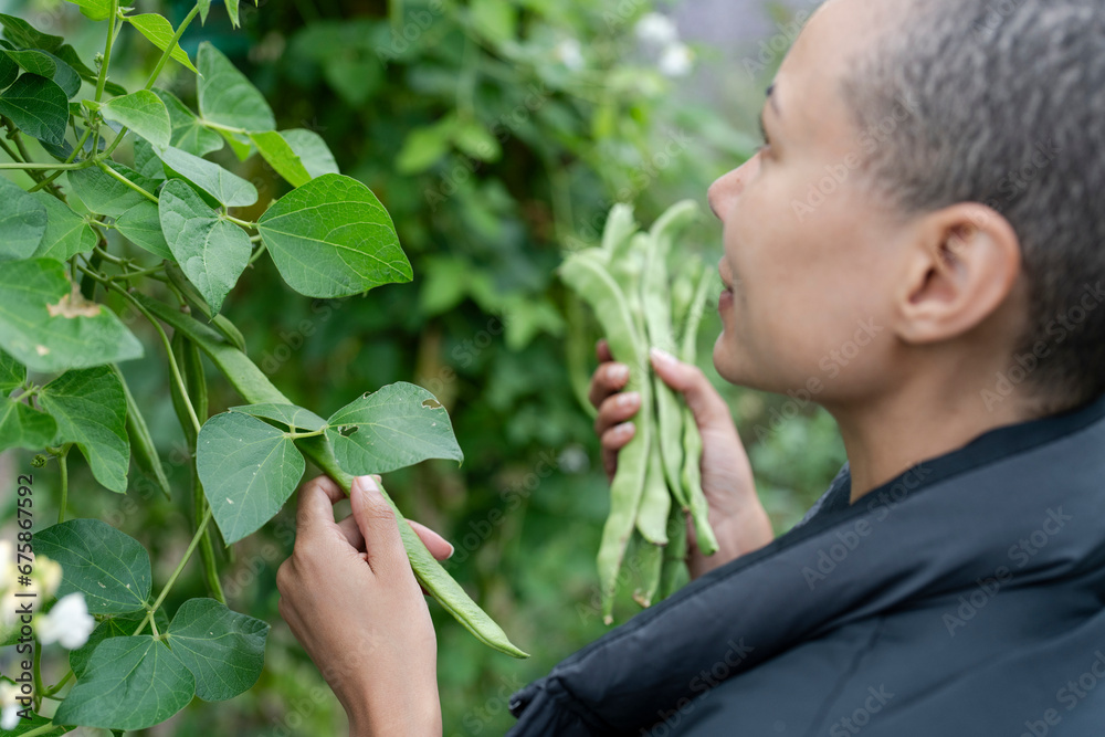 Φωτογραφία Close-up of woman harvesting homegrown green bean in urban garden
