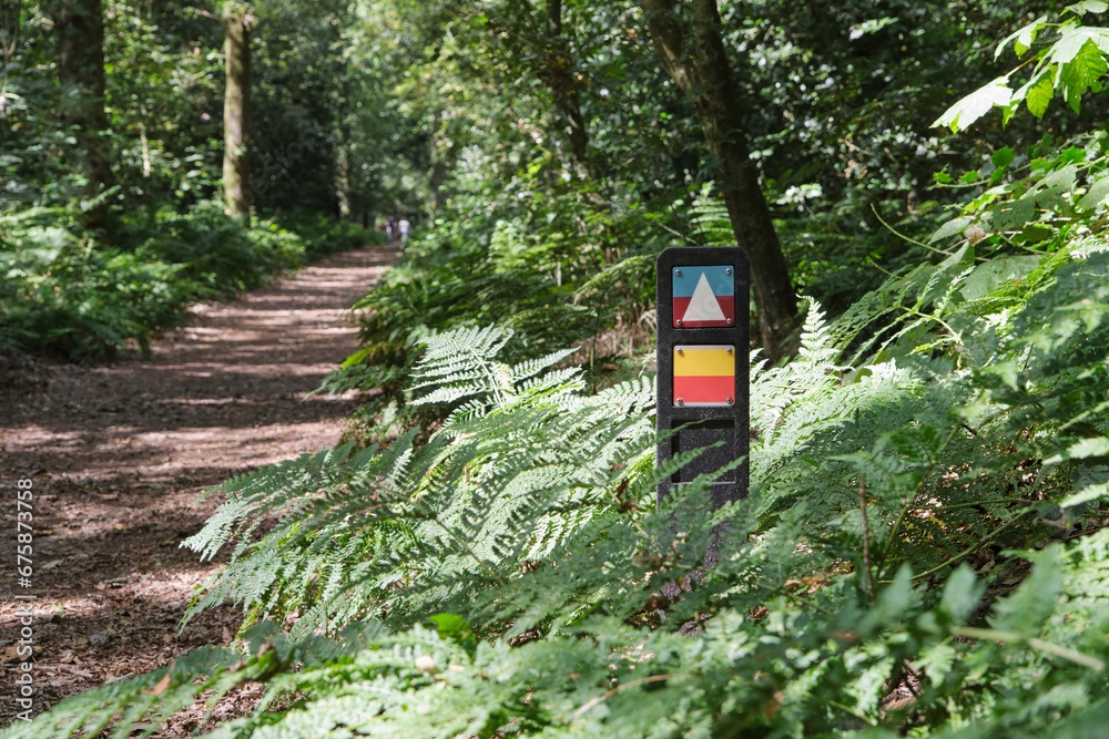 Two marking symbols in The Netherlands for local dutch hiking routes and Frisian hiking routes on a wooden pole in a sunny forest. Image with copy space Two marking symbols in The Netherlands for local dutch hiking routes and Frisian hiking routes on a wooden pole in a sunny forest. Image with copy space