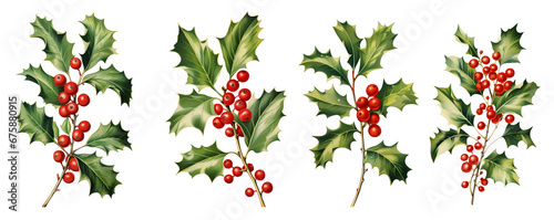 Christmas and New Year symbol decorative elements. Holly berry set. Watercolor colorful floral. Transparent background.
