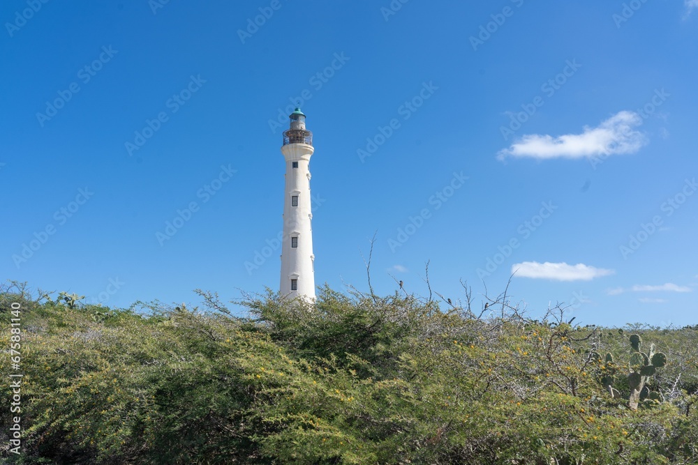 Majestic lighthouse on a hill surrounded by lush greenery