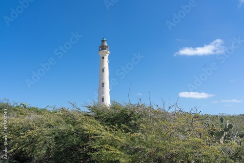 Majestic lighthouse on a hill surrounded by lush greenery