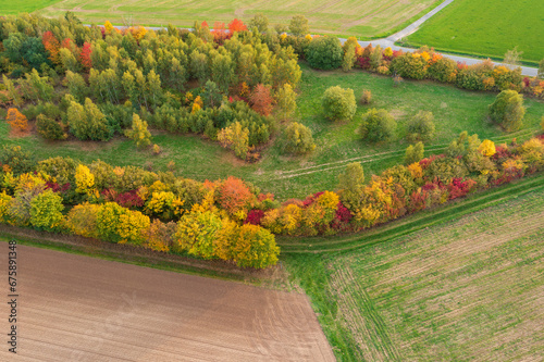 Aerial view of the colorful autumn landscape in the evening near Taunusstein/Germany