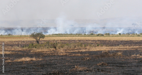 Savannah Fire, Masai Mara Park Kenya