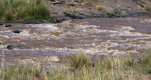 Landscape of Mara River in Masai Mara Park in Kenya