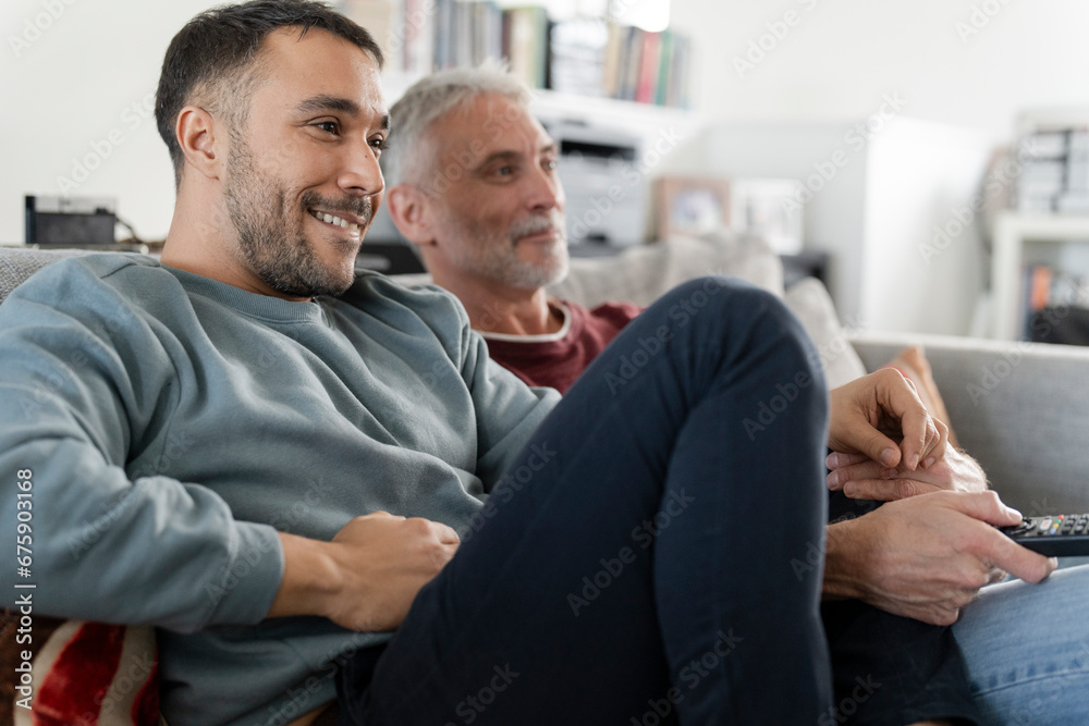 Smiling male couple watching TV at home