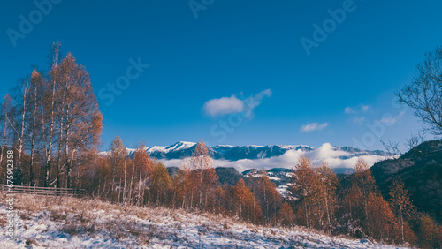 Fairy tale landscape with golden birch branches in the middle of autumn. Amazing view from the base of the snowy rocky mountains.