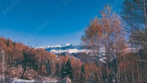Fairy tale landscape with golden birch branches in the middle of autumn. Amazing view from the base of the snowy rocky mountains.