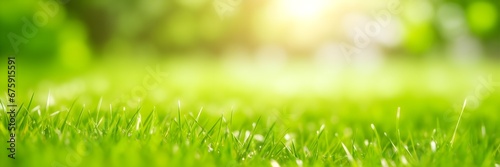 Green Grass in the Morning. Green Lawn Background. Abstract Green Grass Banner Against Sunlight.