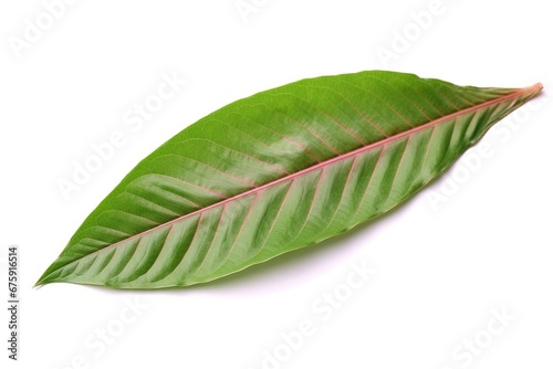 green leaf isolated on white background Created with generative Ai