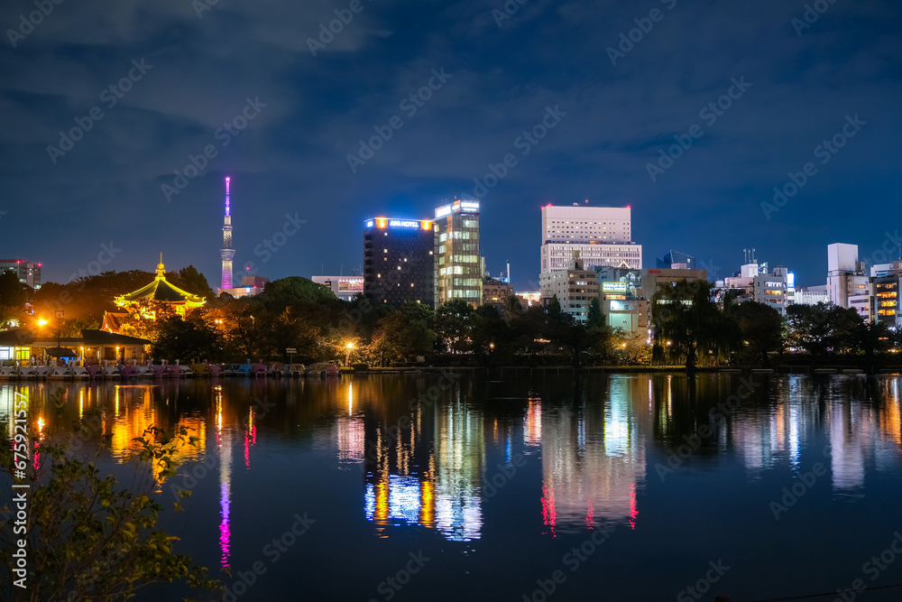 Naklejka premium 東京都台東区 夜の上野公園 不忍池