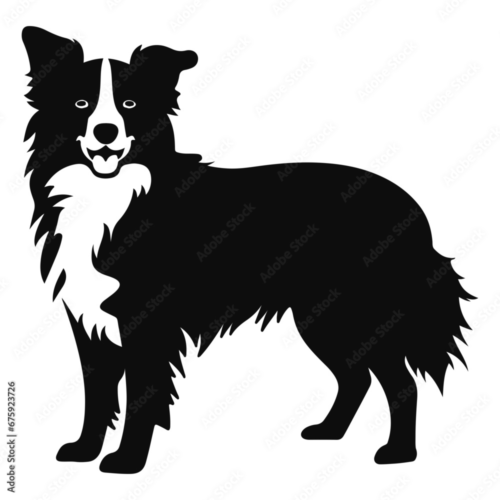 Obraz premium border collie Dog Vector Silhouette, Generative AI.