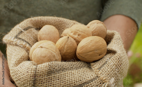 Walnuts in a burlap jute sack