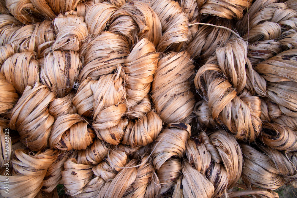 Thick Golden bundle of raw jute fiber abstract Pattern Texture Can be used as a Background wallpaper Thick Golden bundle of raw jute fiber abstract Pattern Texture Can be used as a Background wallpaper